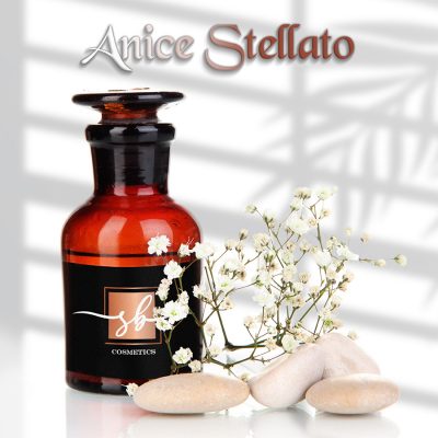 Olio essenziale di Anice Stellato 10 ml
